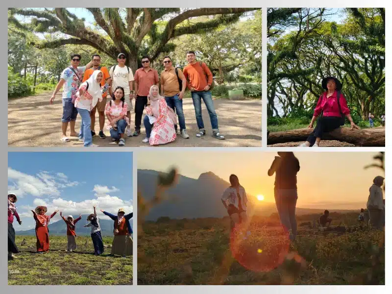 paket wisata djawatan baluran